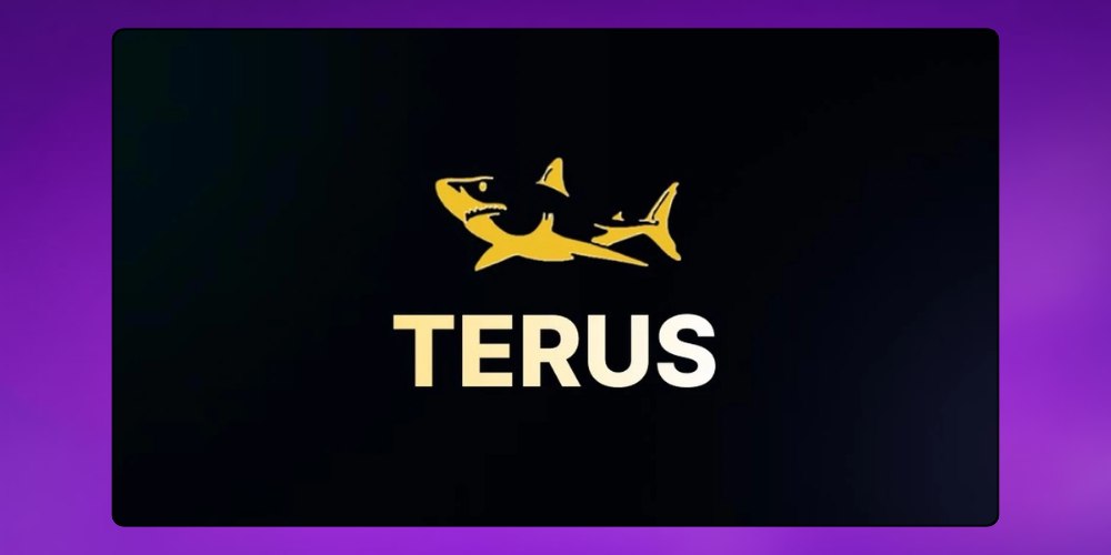 Creative digital marketing agency Terus