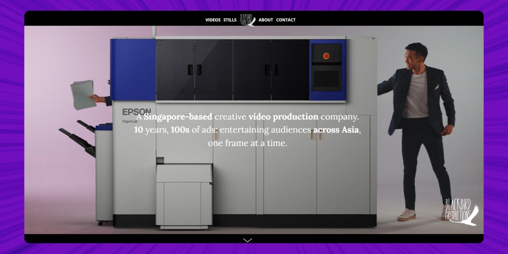 video agency BLACKBIRD Productions